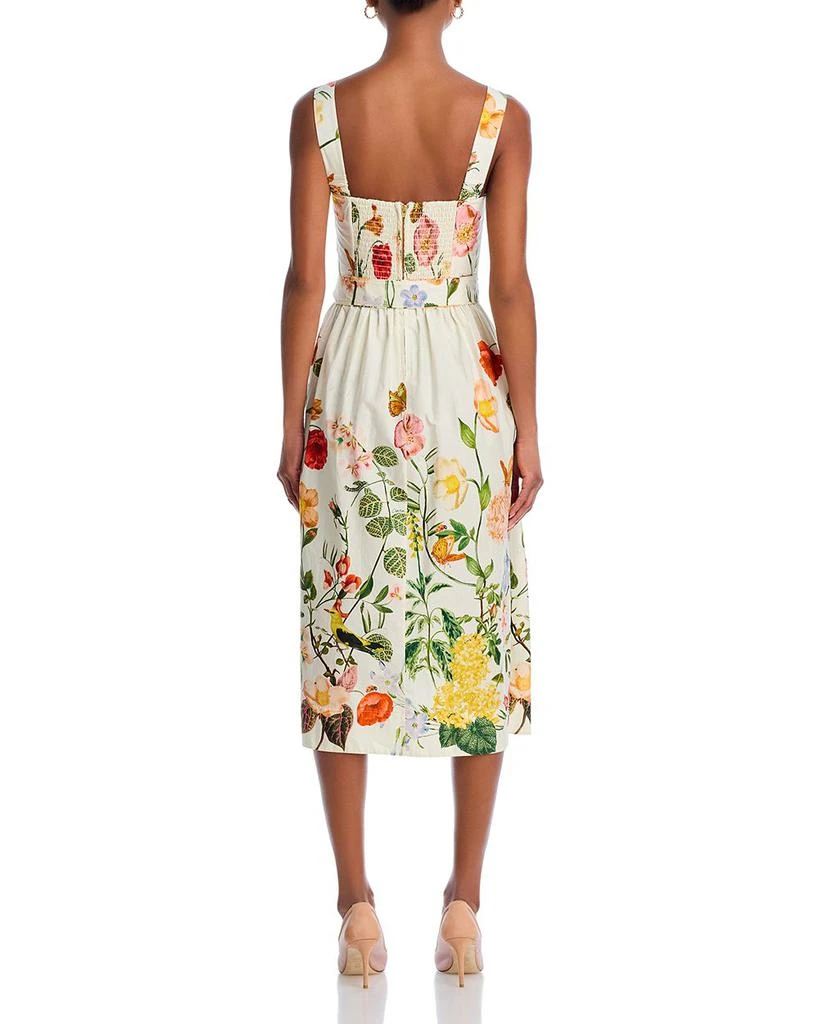 Cara Cara Candace Dress 4