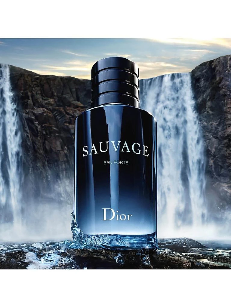 Dior Dior Sauvage Eau Forte Parfum 3