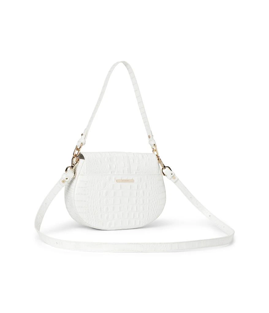 Brahmin Cynthia 2