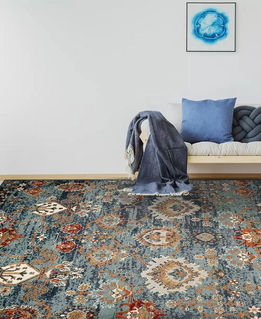 Amer Rugs Allure Alice 7'9" x 9'9" Area Rug 4