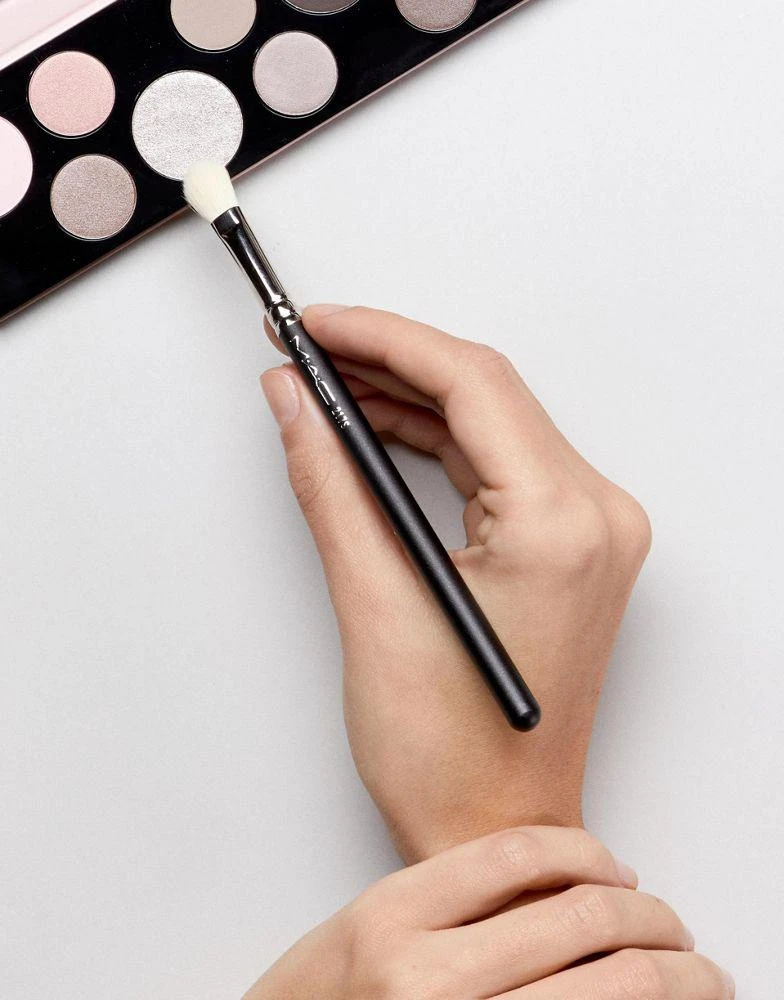 MAC MAC 217S Blending Brush 4