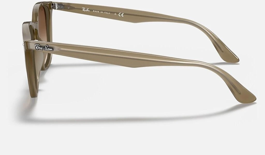 Ray-Ban RB4258 3