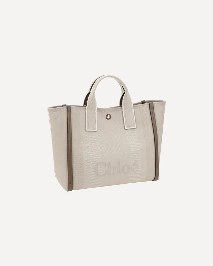 Chloé Carry Handbag 4