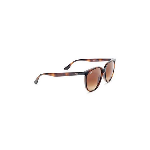 Ray-Ban Sunglasses 4378 1