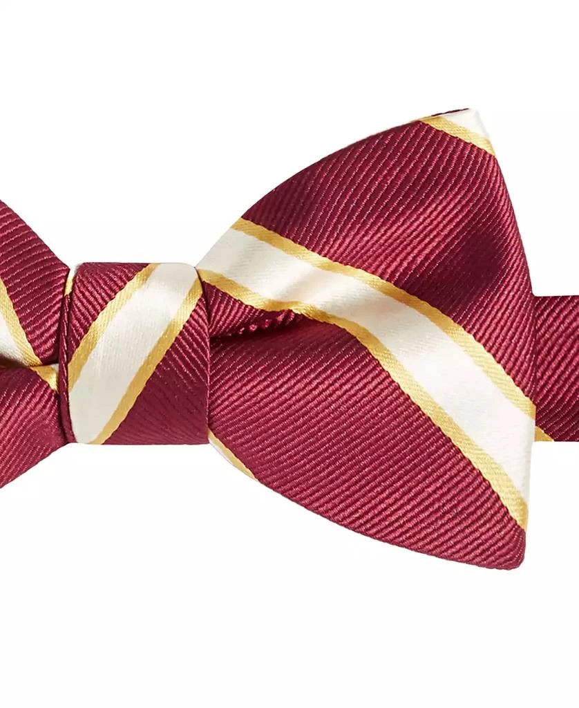 Tayion Collection Men's Crimson & Cream Stripe Bow Tie 2