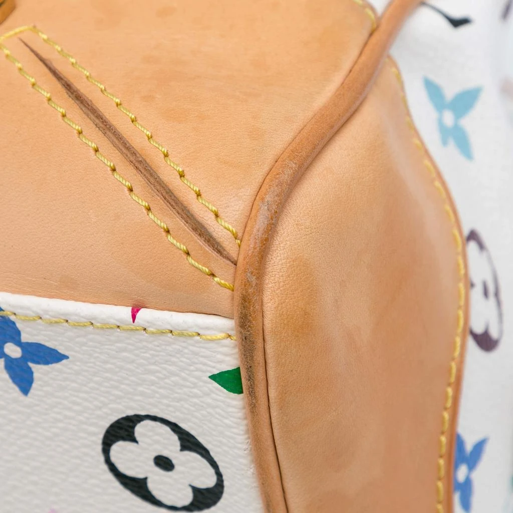 Louis Vuitton Louis Vuitton Monogram Multicolor Claudia 8