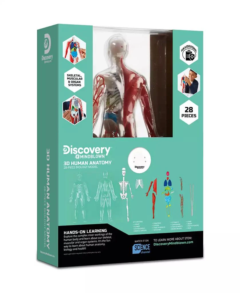 Discovery #MINDBLOWN CLOSEOUT! 3D Human Anatomy 28-Piece Biology Model 3