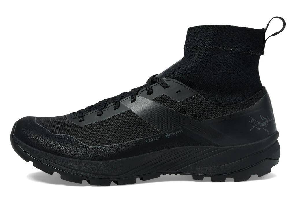 Arc'teryx Vertex GTX 4