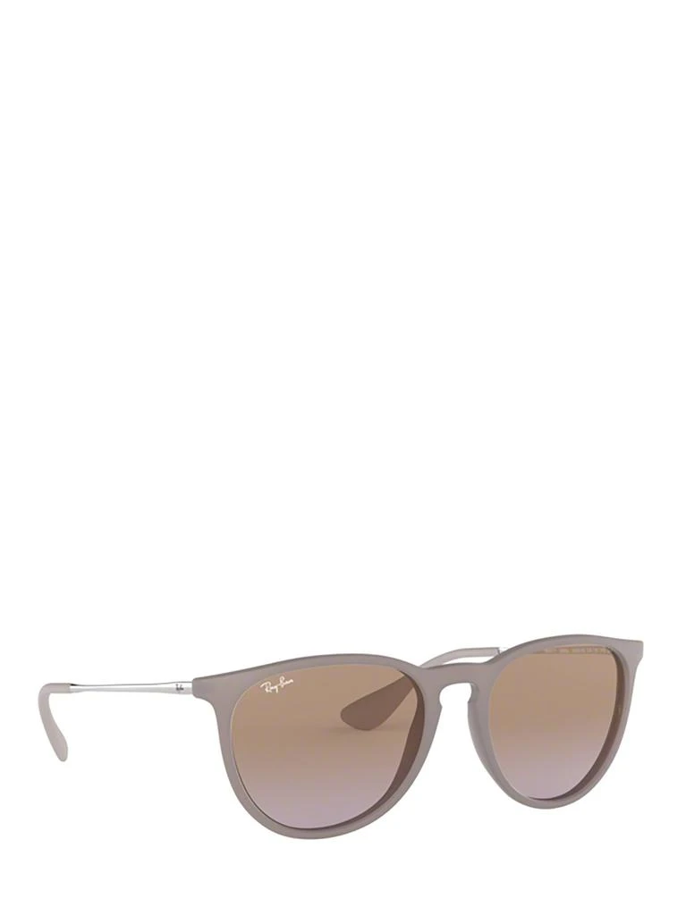 Ray-Ban Ray-Ban Erika Classic Sunglasses 2