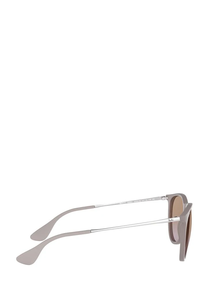 Ray-Ban Ray-Ban Erika Classic Sunglasses 3