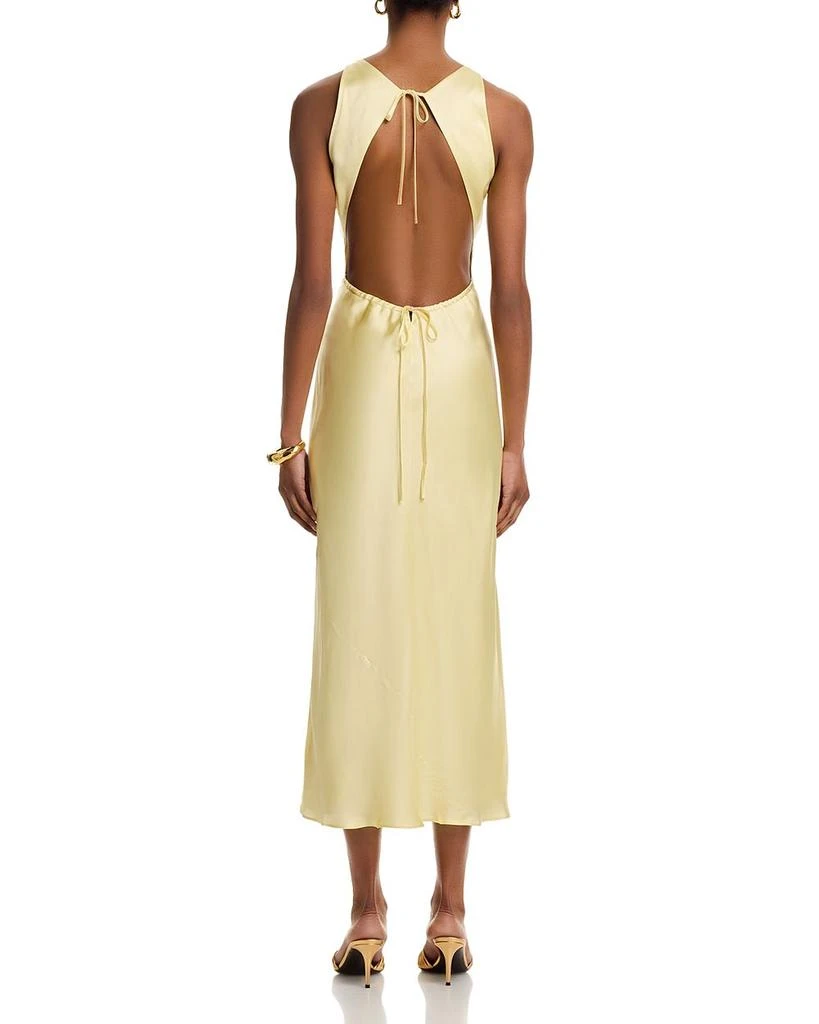 Danielle Guizio Lina Midi Dress 4