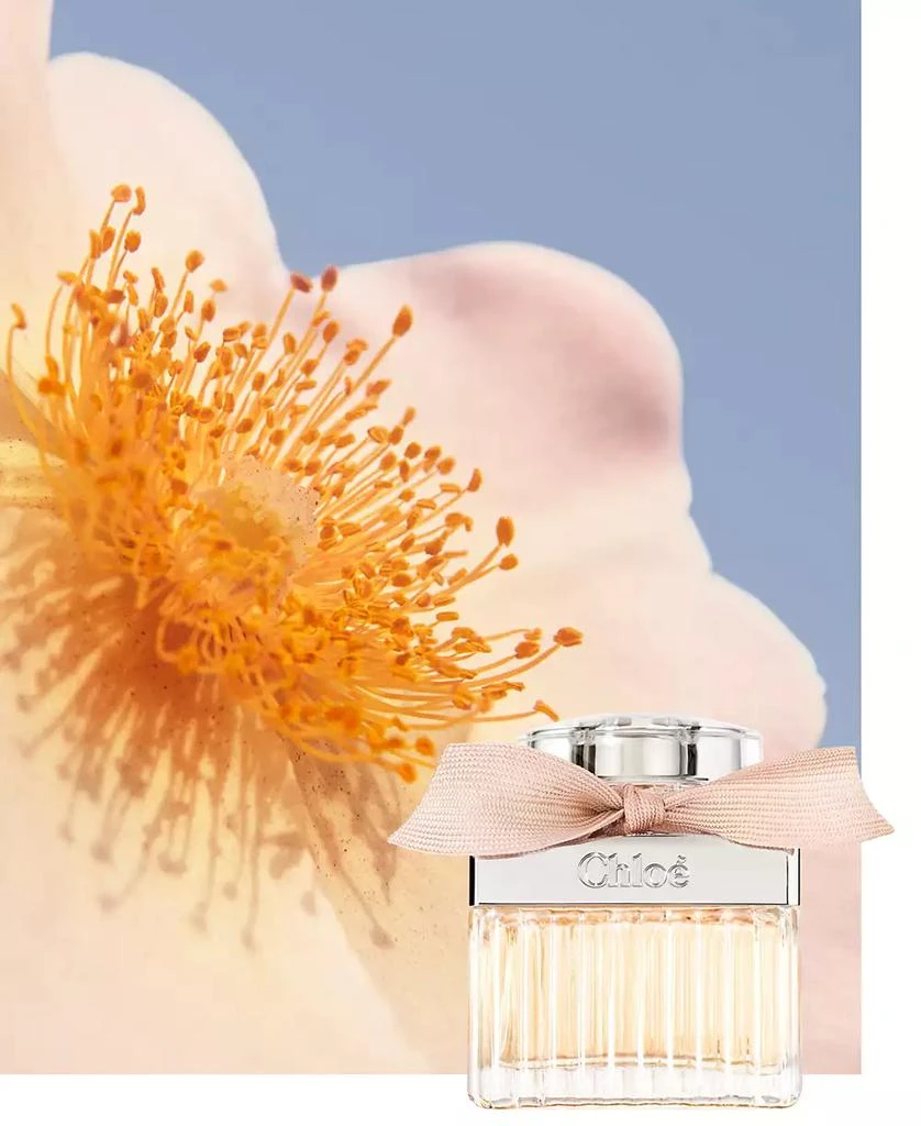 Chloé Chloé Eau de Parfum Spray, 4.2 oz 8