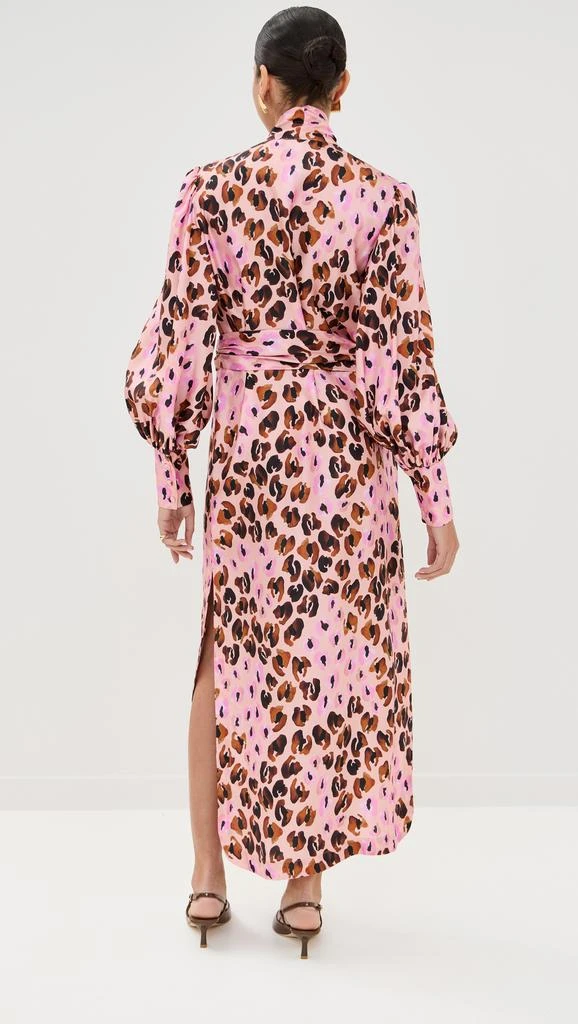 Borgo de Nor Dakota Dress 2