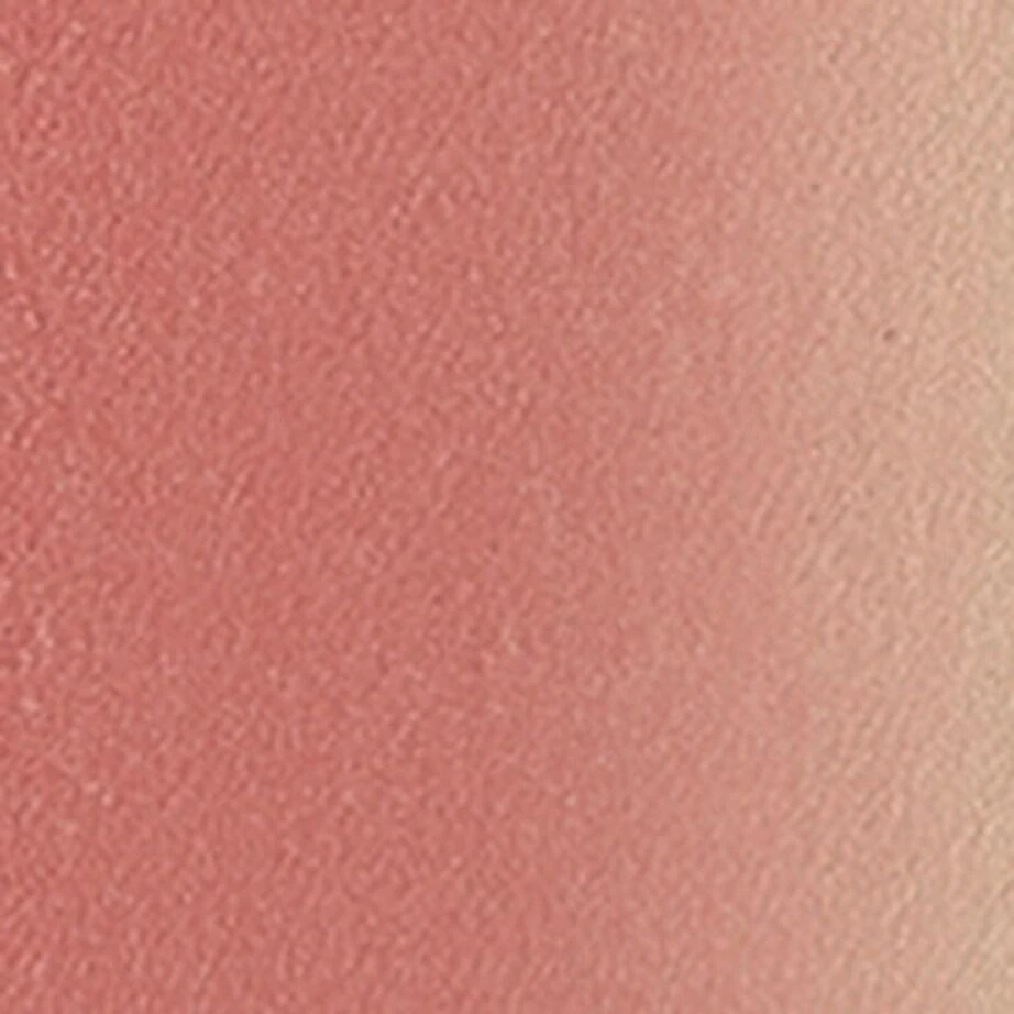 Suqqu Pure Color Blush 2