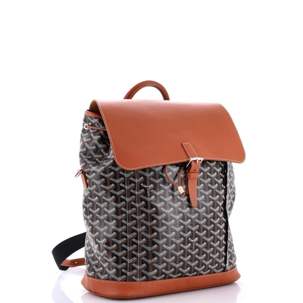Goyard Alpin Backpack Coated Canvas MM 2