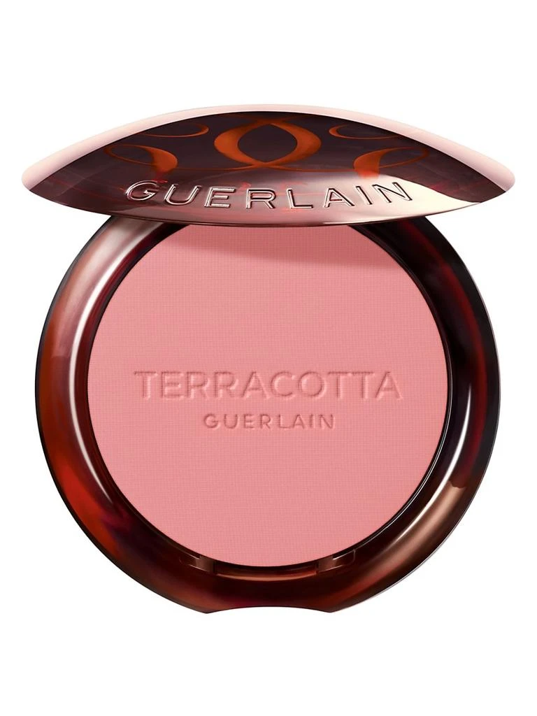 Guerlain Terracotta Powder Blush 1
