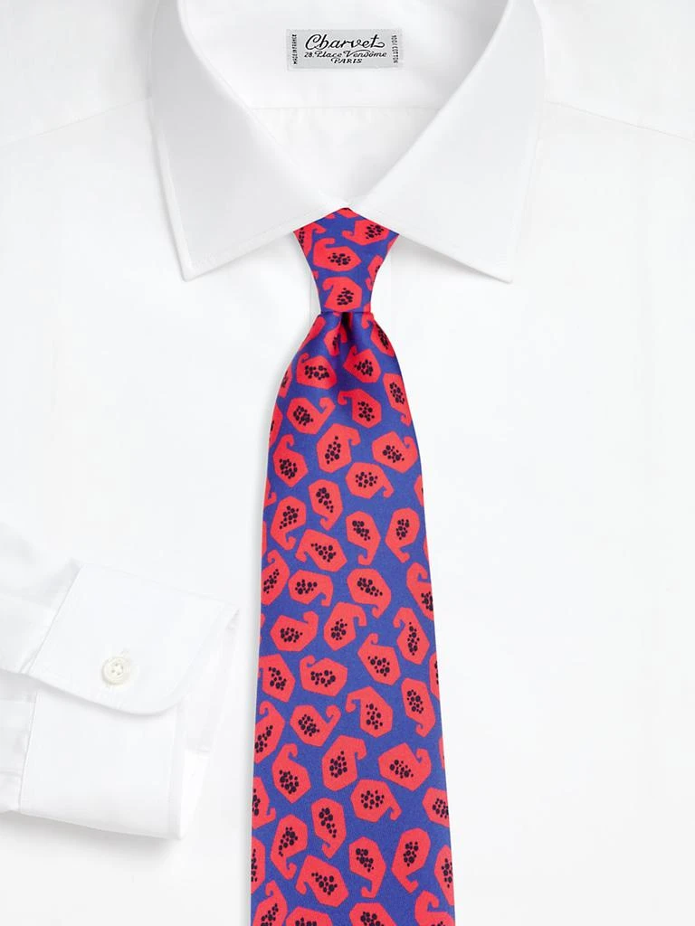 Charvet Paisley Silk Tie 2