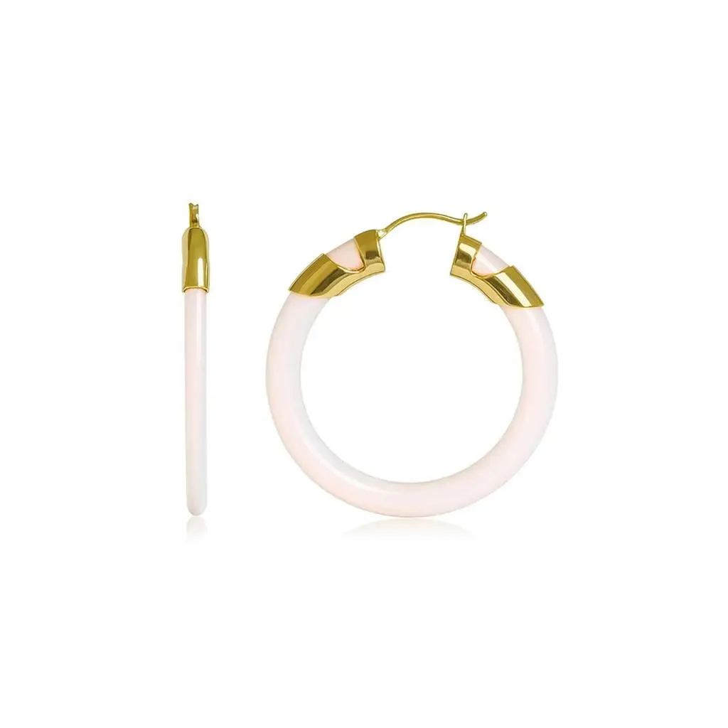 Gold & Honey Gold & Honey - Women's Classic Flat Lucite Birthstone Hoop Earrings