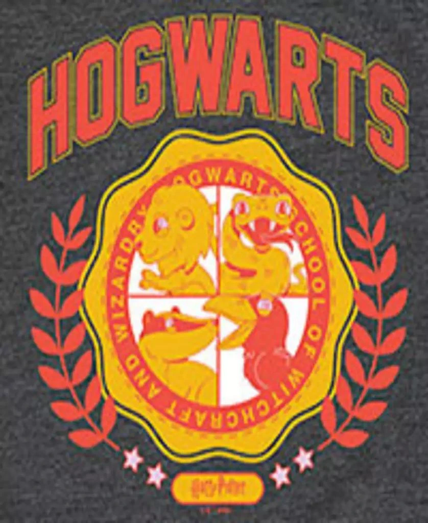 Hybrid Big Boys Harry Potter Hogwarts Graphic Tee 3