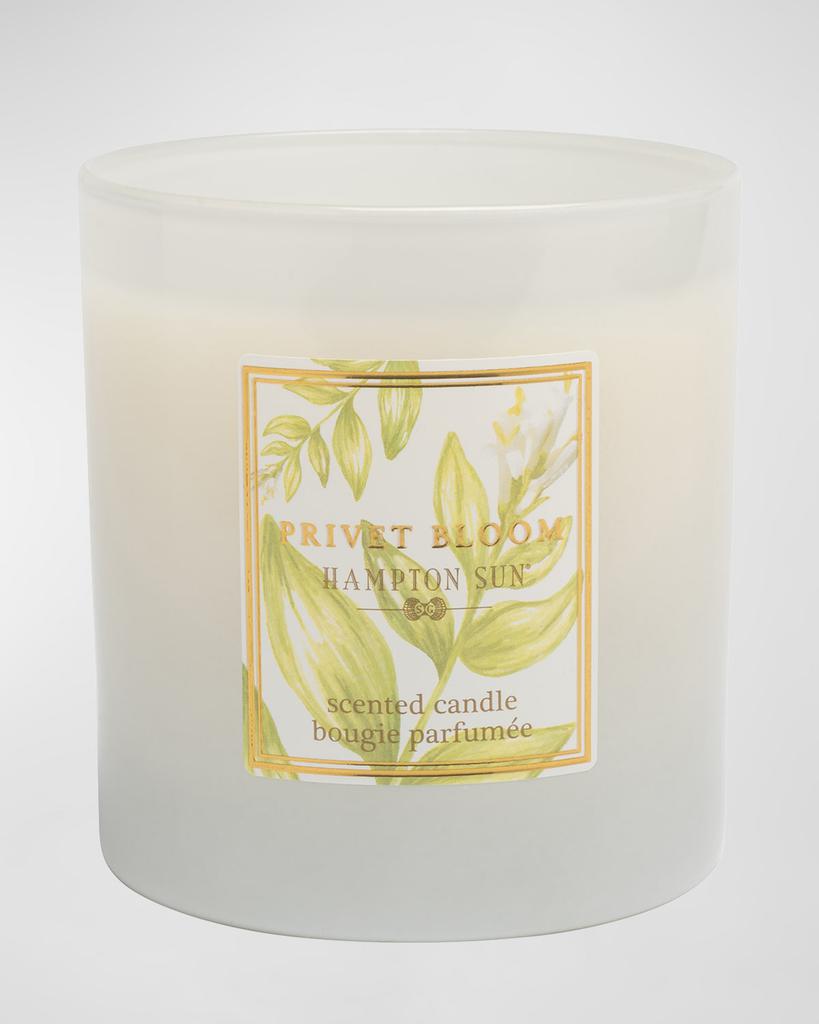 Hampton Sun 7.5 oz. Privet Bloom Scented Candle