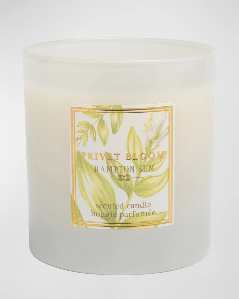 Hampton Sun 7.5 oz. Privet Bloom Scented Candle 1