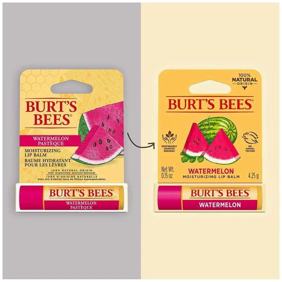 Burt's Bees Lip Balm 8