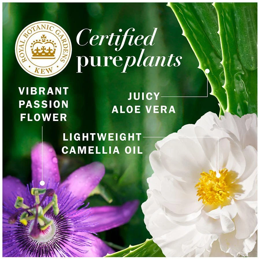 Herbal Essences Passion Flower Sulfate Free Shampoo Tropical Fruits, Sugarcane, And White Musk 3