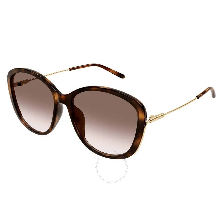Chloé Brown Gradient Butterfly Ladies Sunglasses CH0175SK 002 59 2