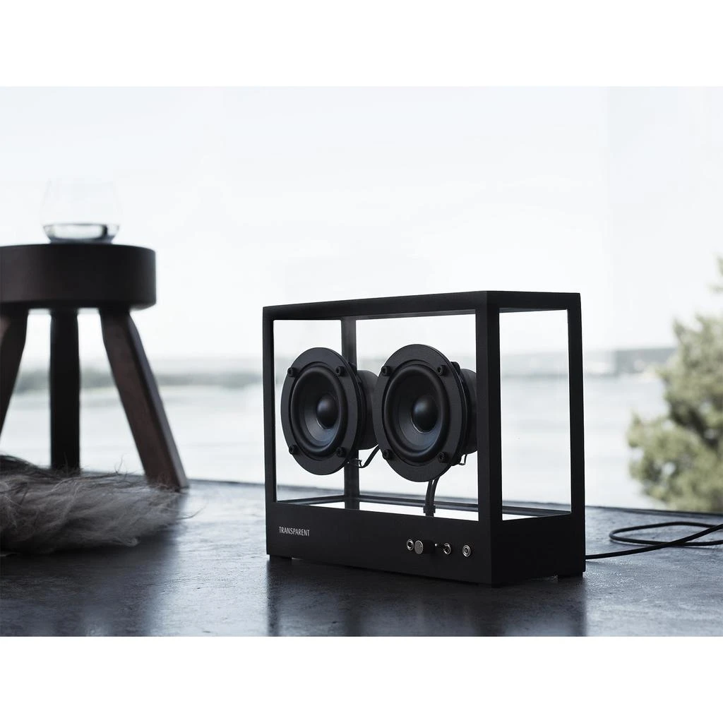 Transparent Small Speaker - Black 10