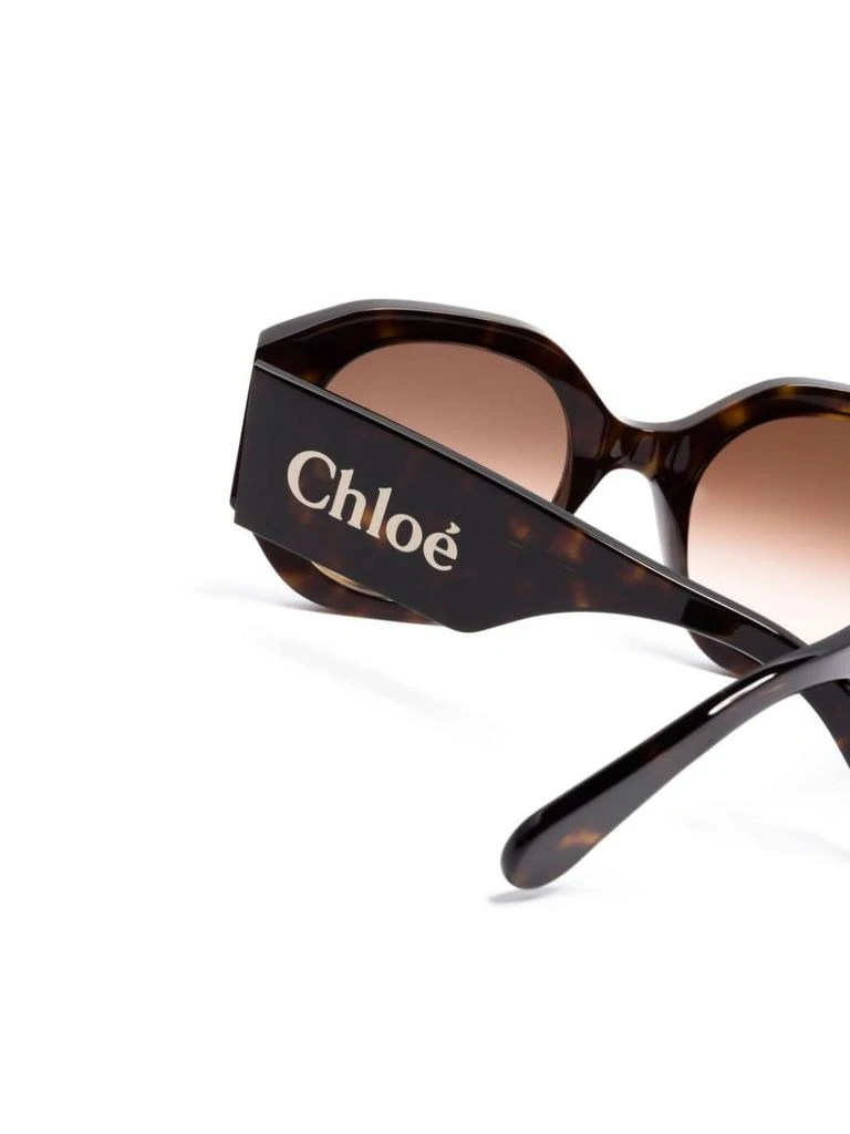 Chloé Naomy Sunglasses In Dark Havana/brown Sunglasses 3