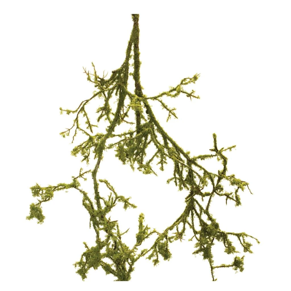 Hivvago Mossy Twig Branch Vine (Set of 6) 2