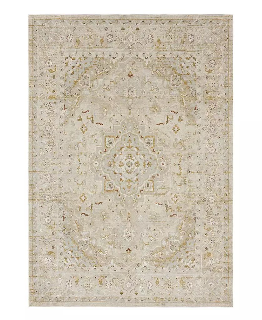 Karastan Windermere Edenhall 6'6x9'10 Area Rug 1