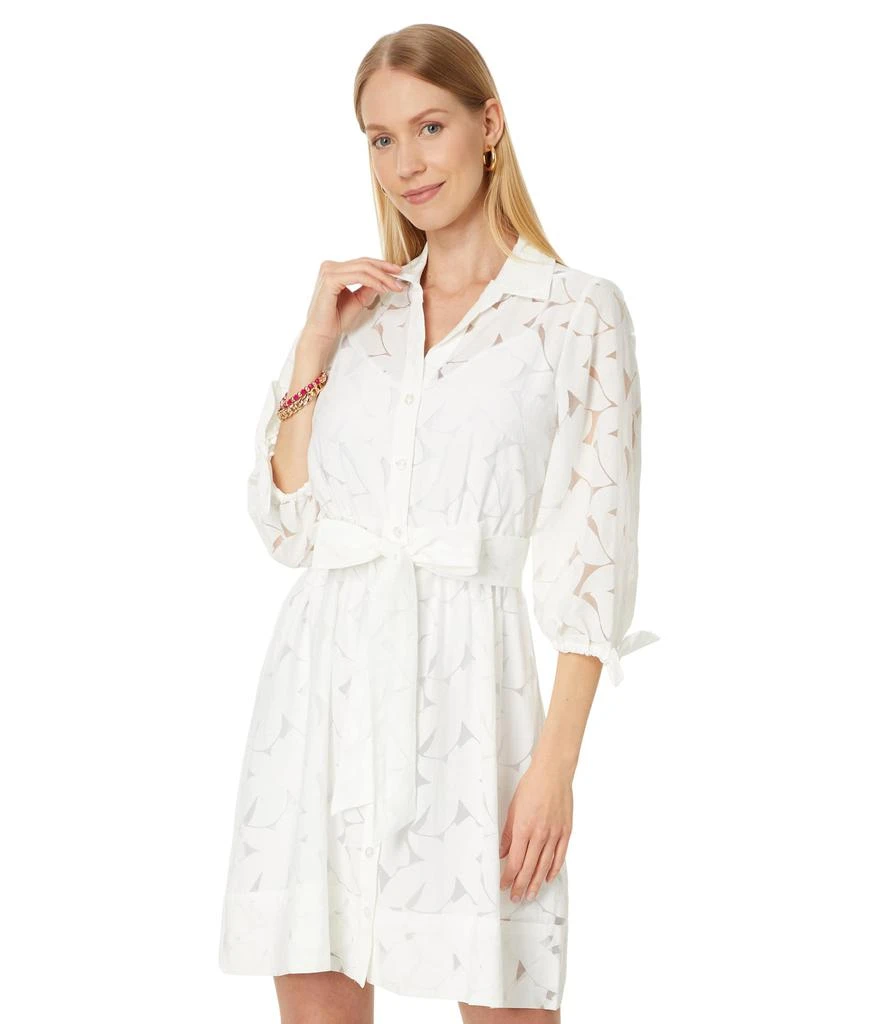 Lilly Pulitzer Amrita 3/4 Sleeve Shirtdress 1