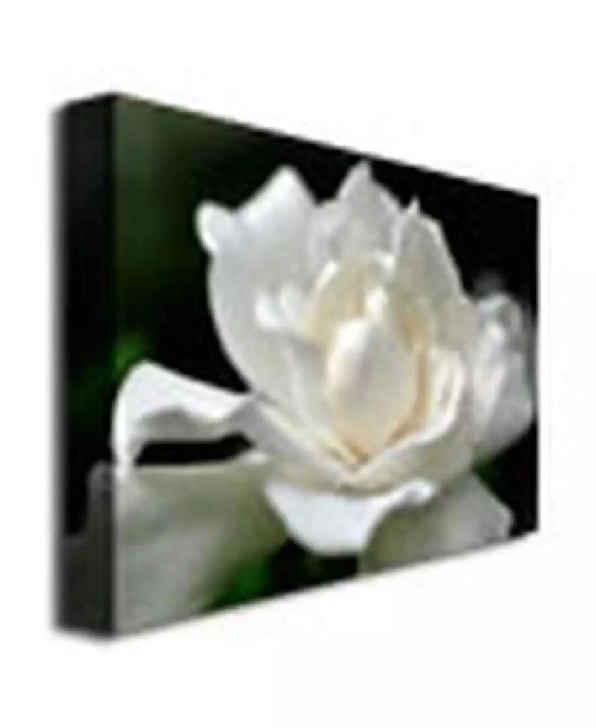 Trademark Global Kurt Shaffer 
Lovely Gardenia
 Canvas Art - 32" x 24" 2