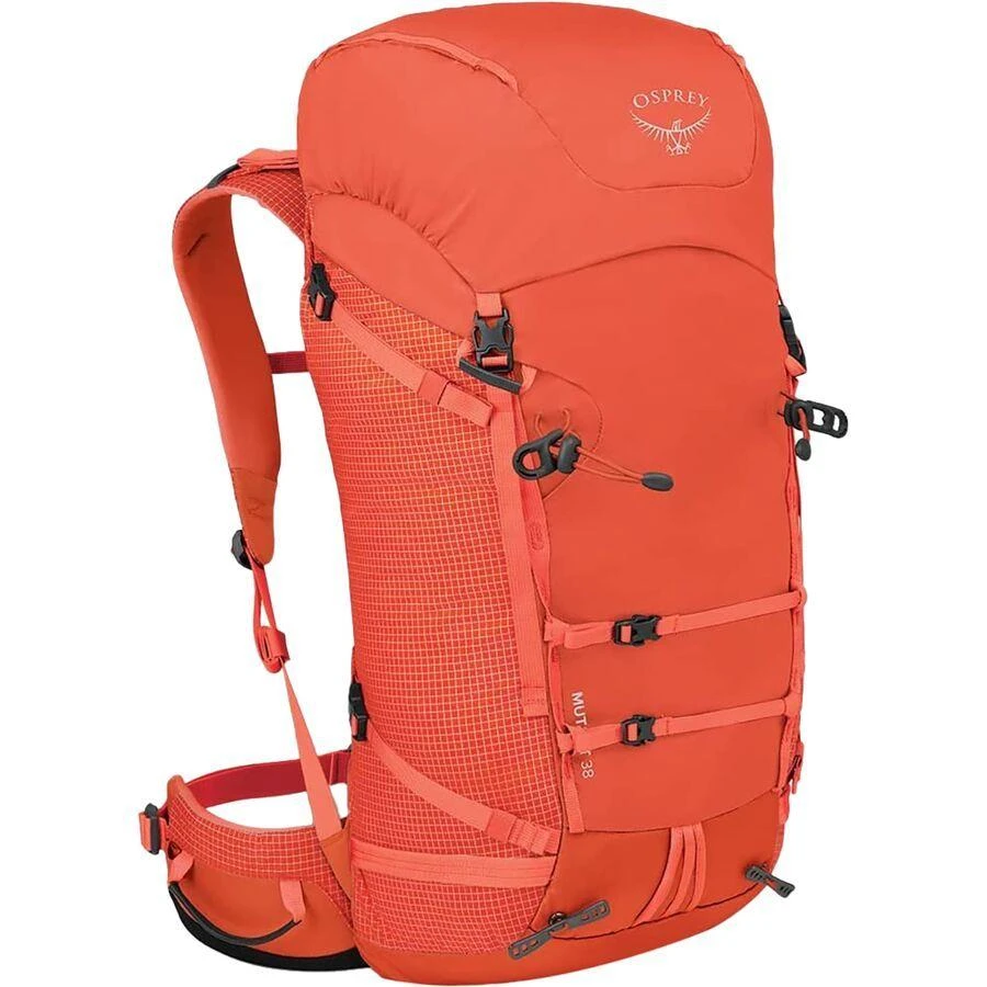 BUY 3, GET 20% OFF coupon code from store Steep&Cheap