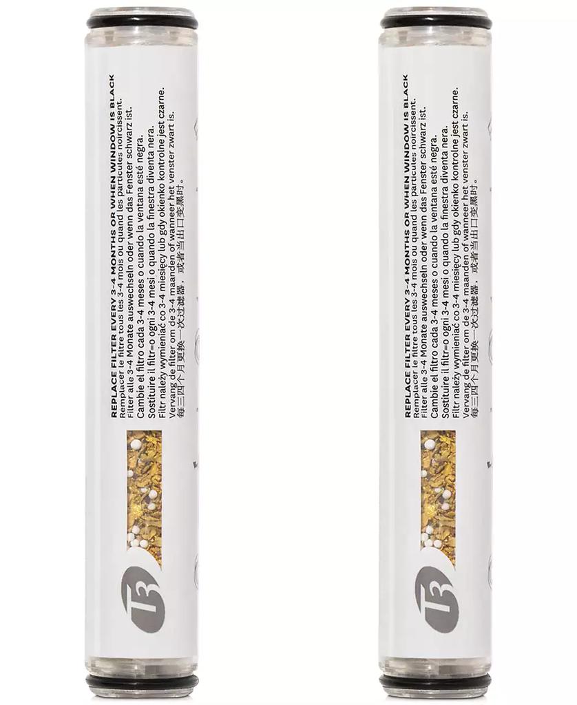 T3 Source Shower Filter Replacement for Hand-Held Unit