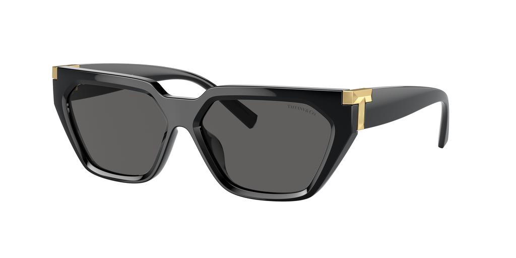 Tiffany & Co. Tiffany & Co. Woman Sunglass TF4205U