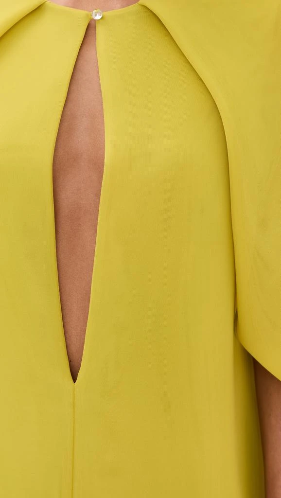 Brandon Maxwell The Juniper Deep V Cape Mini Dress 5
