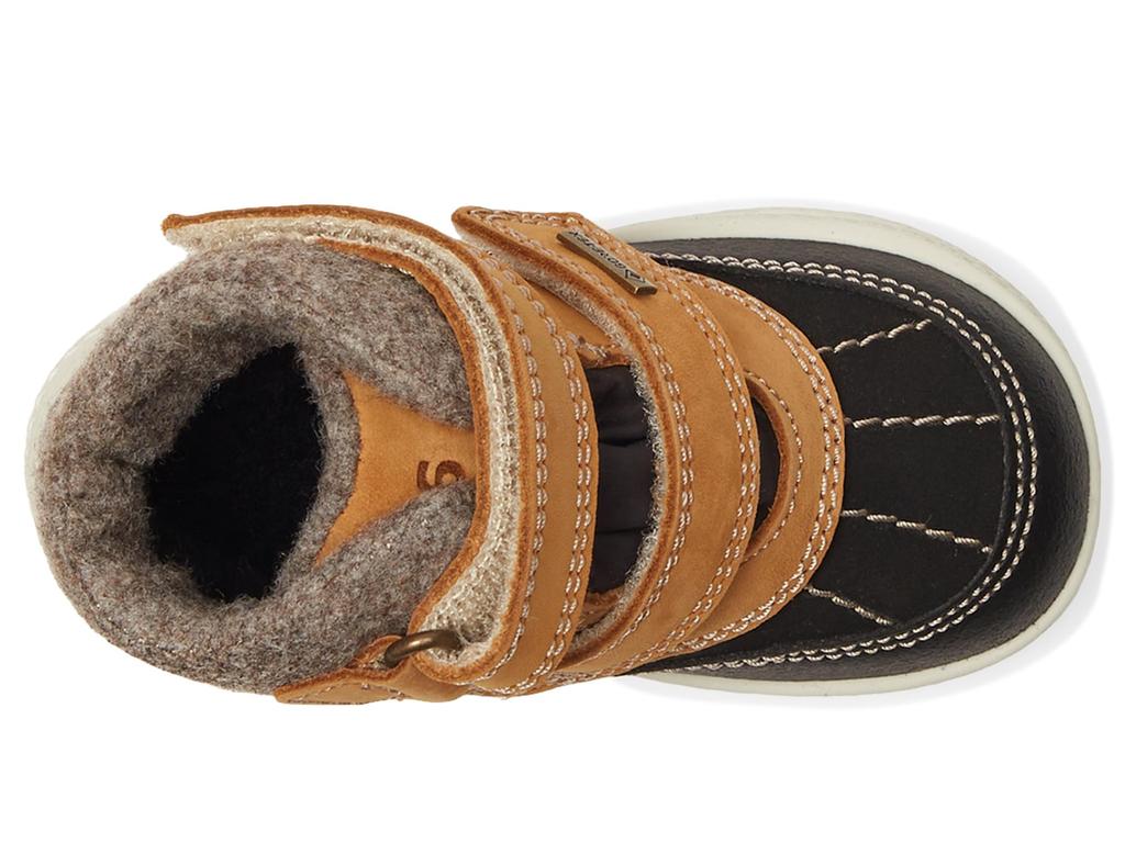 Primigi Kids PBZGT 68524 (Toddler/Little Kid)