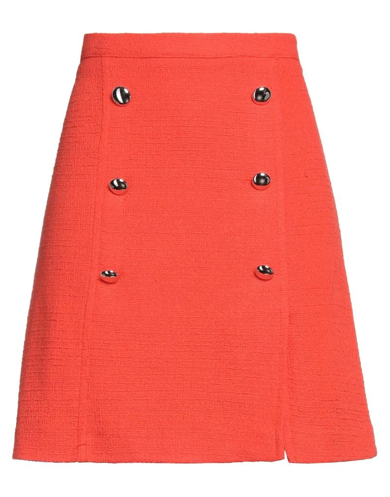 DIANA GALLESI Mini skirt 1