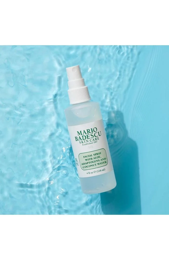 Mario Badescu Clean Facial Spray - Travel Size 3