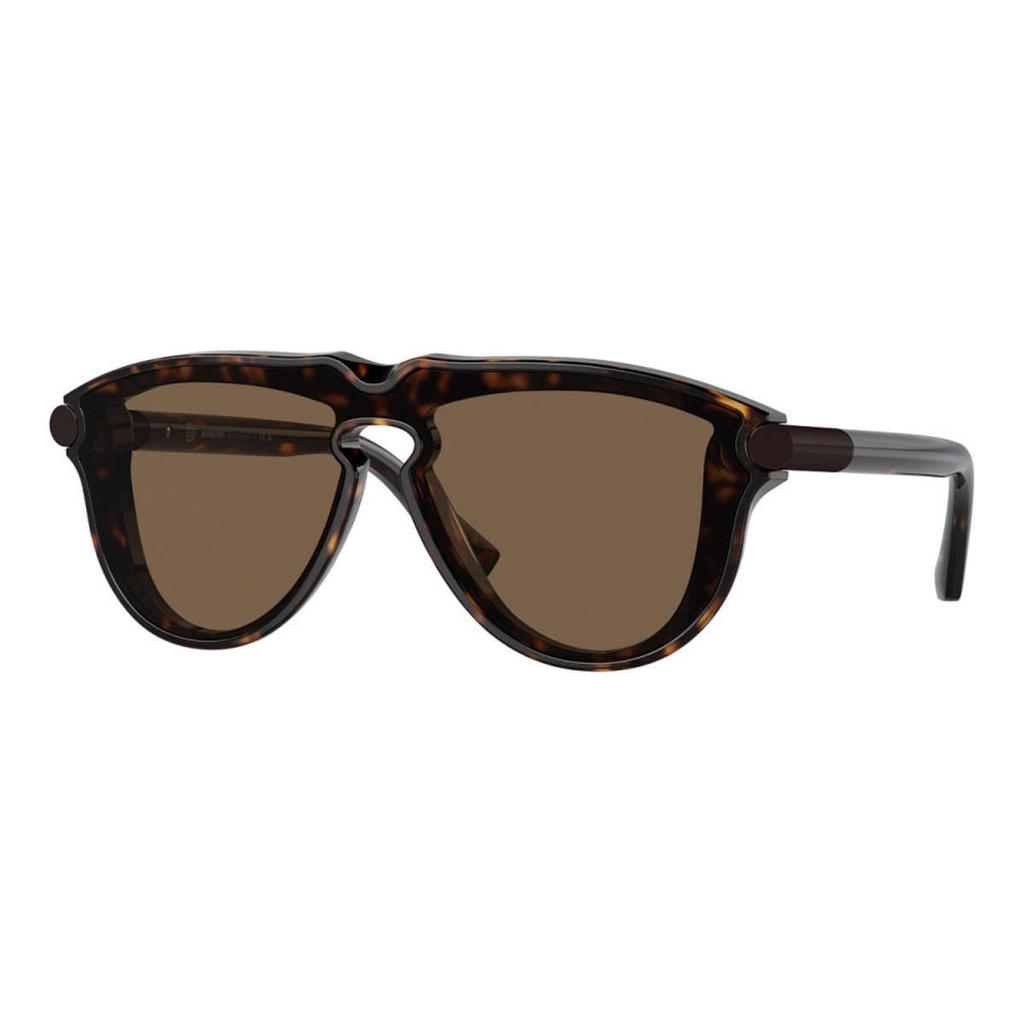 Burberry Burberry Men's Brown Pilot Sunglasses