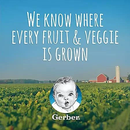 GERBER Gerber Toddler Pouch Variety Pack 3.5 oz., 12 ct. 6