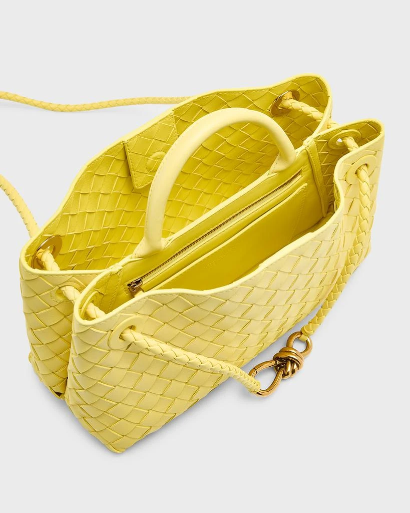 Bottega Veneta Small East-West Andiamo Bag 4