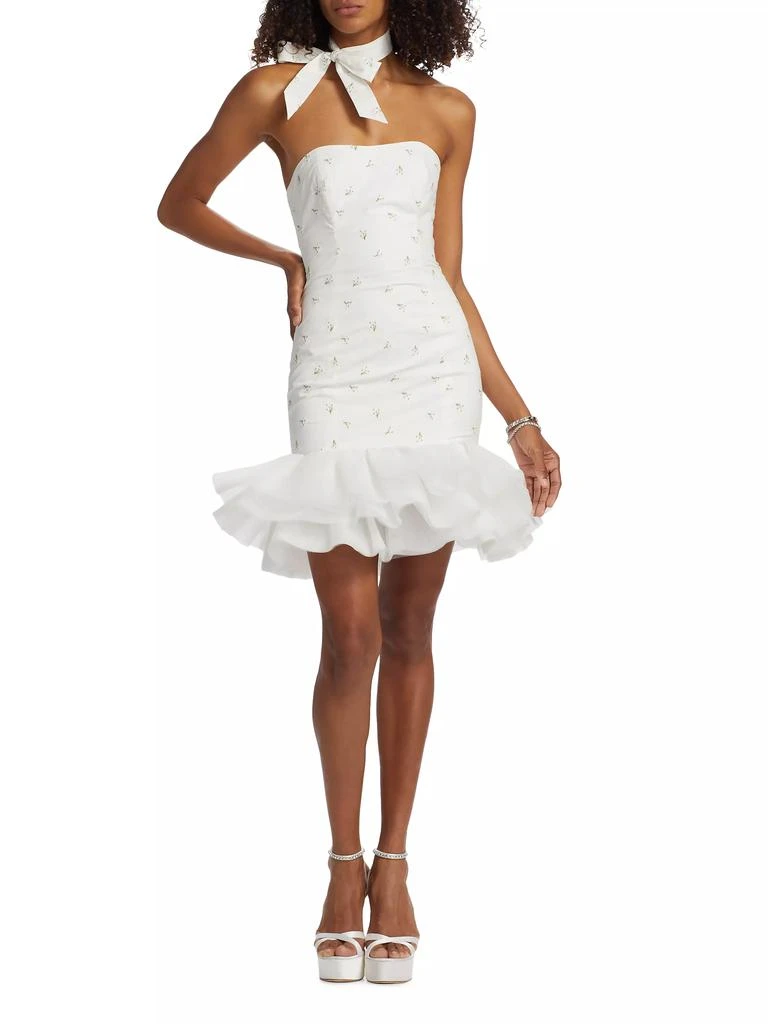The Bar Blake Embroidered Flare Minidress 2