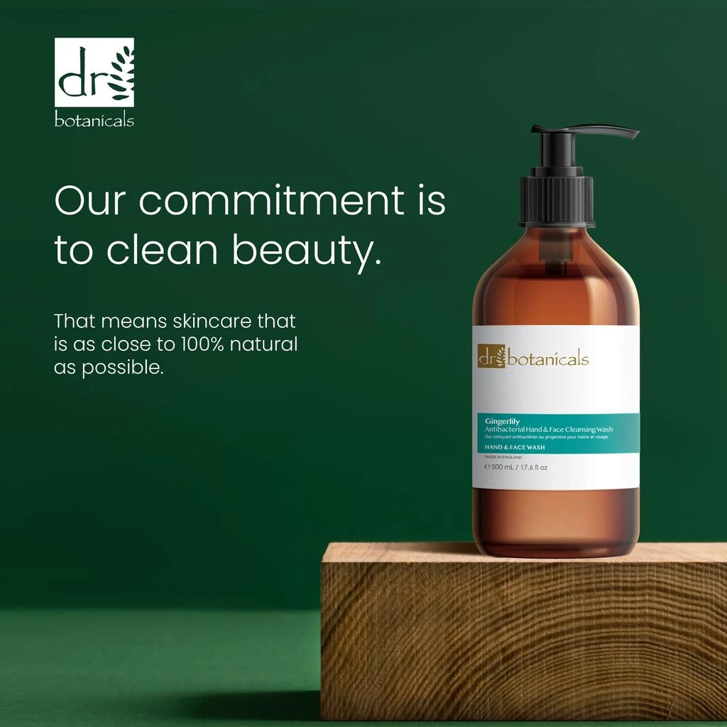 Dr. Botanicals Gingerlily Hand & Face Cleansing Wash 500ml Twin Value Savings Pack 3