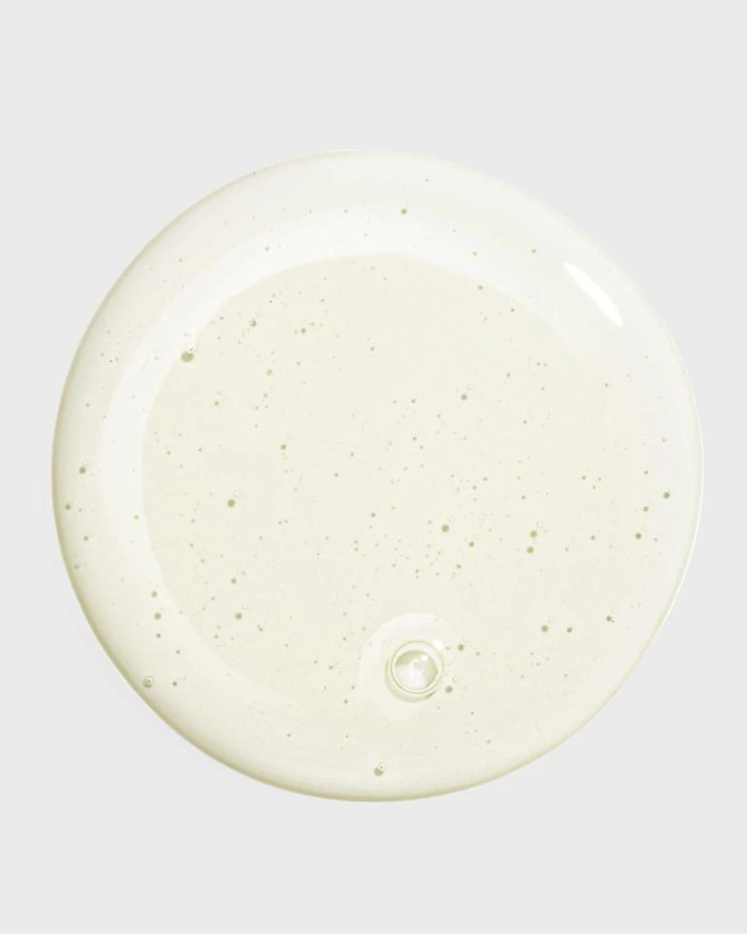 Sisley Hair Rituel Gentle Purifying Shampoo 2
