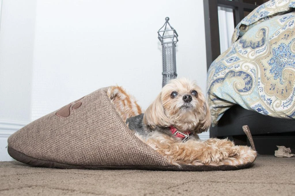 Pet Life 'Slip-On' Fashion Designer Polar Fleece Animated Slipper Pet Dog Bed House Shoes 4