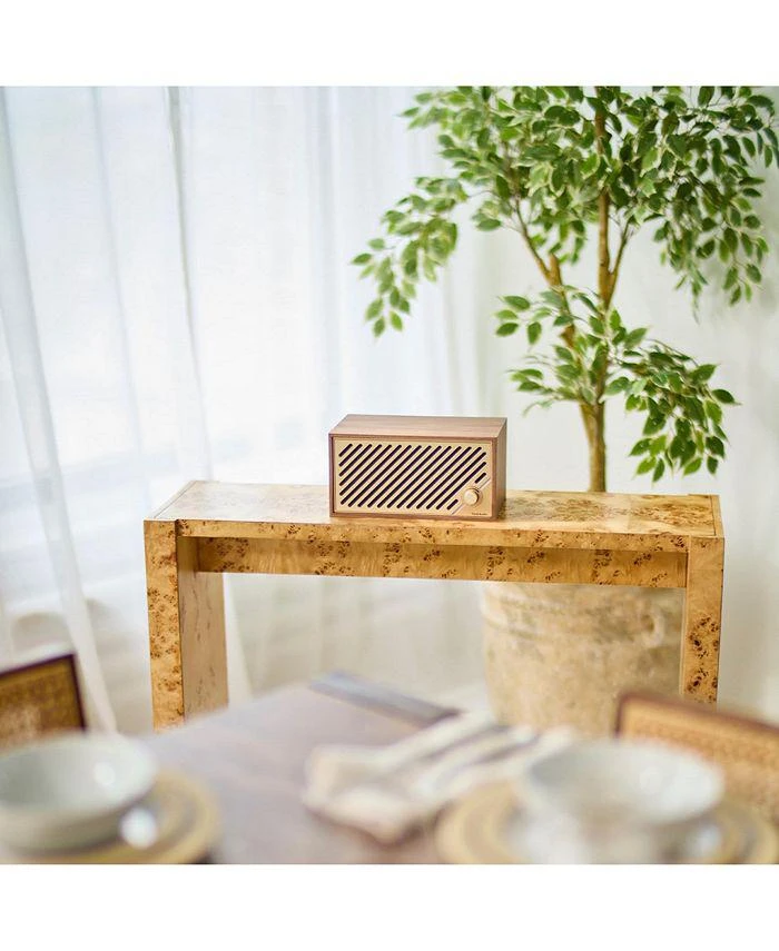 Tivoli Audio Model Two Digital Bluetooth Speaker with Built-In Airplay2, Chromecast, and Wi-Fi 8