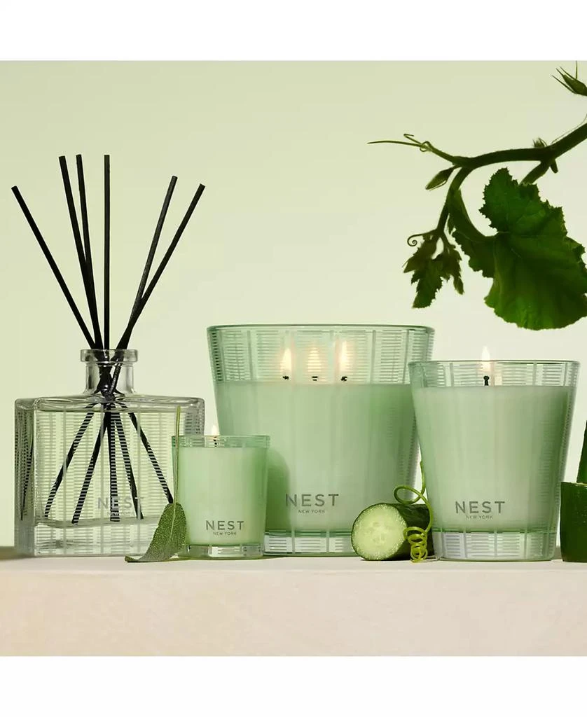 NEST New York Wellness Cucumber 
White Sage Reed Diffuser, 5.9 oz. 4